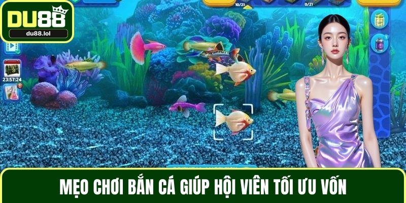 Mẹo Chơi Bắn Cá DU88 – Khám Phá Bí Quyết Săn Thưởng Lớn
