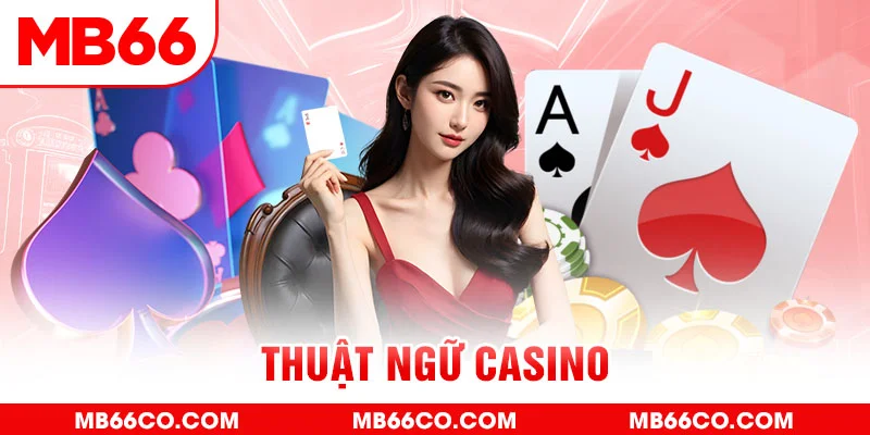 Thuật Ngữ Casino - MB66 Tổng Hợp Cụ Thể Và Chi Tiết