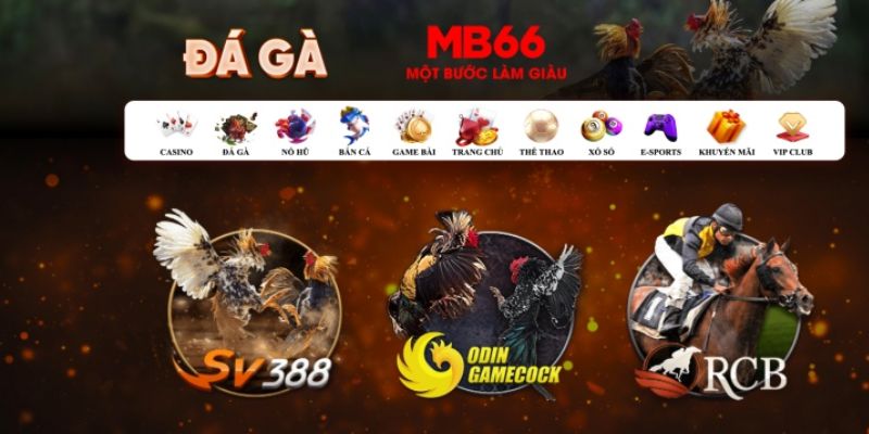 Đá Gà MB66 - Sân Chơi Đỉnh Cao Đầy Chuyên Nghiệp 2026