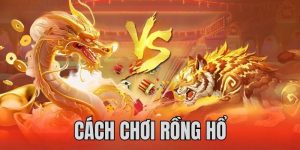 Tin Tức MB66 - Cập Nhật Điểm Giải Trí Hot Nhất 2026
