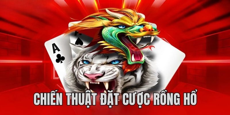 Cách Chơi Rồng Hổ Đỉnh Cao Dành Thắng Đậm Cùng Cao Thủ
