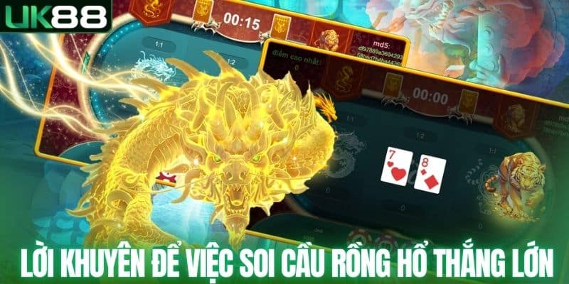 Cách Soi Cầu Rồng Hổ Theo Nhịp Ván Cược Chuẩn Xác Đến 99%