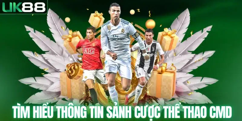 CMD SPORT - Sân Chơi Thể Thao Uy Tín Hàng Đầu Châu Á