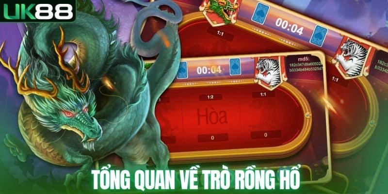 Cách Soi Cầu Rồng Hổ Theo Nhịp Ván Cược Chuẩn Xác Đến 99%